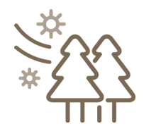 花粉症・アレルギー性結膜疾患